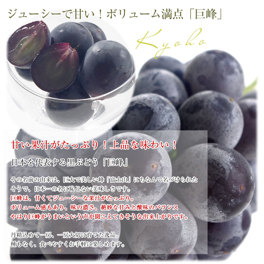 山梨県産 JAフルーツ山梨 黒ぶどう3種セット 約1.4キロ (ブラック
