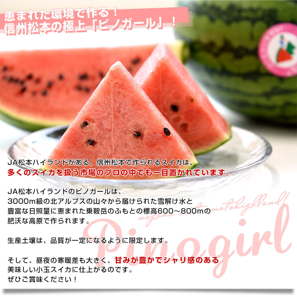 長野県産 JA松本ハイランド ピノガール (小玉スイカ) A品 3Lから4L