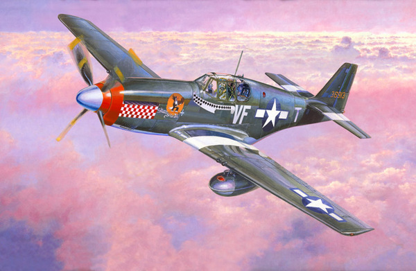 P-51 B-7 Shangri La MisterCraft C50