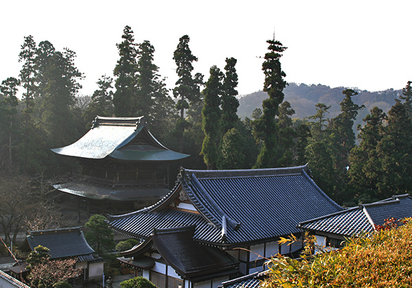 鎌倉Today | 円覚寺