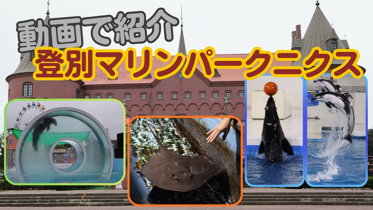 動画で紹介】登別マリンパークニクス | KENGOの気まぐれブログ