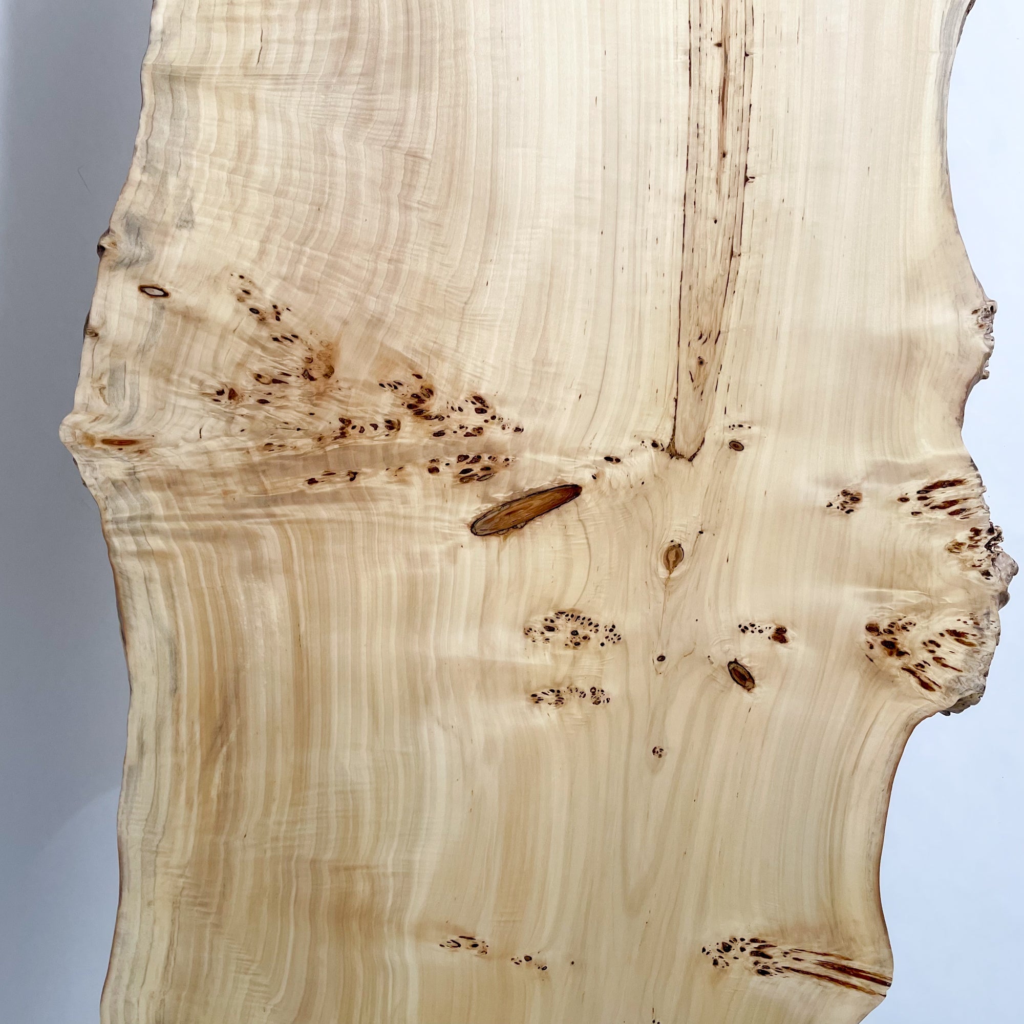 早い者勝ち！SALE！】ポプラ 一枚板テーブル 店舗什器 アイアン脚 早い