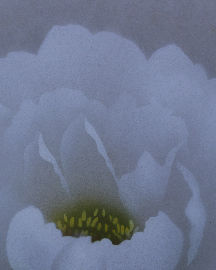 富貴花｜新・古美術 高美堂（こうびどう）｜掛軸販売・通販・買取