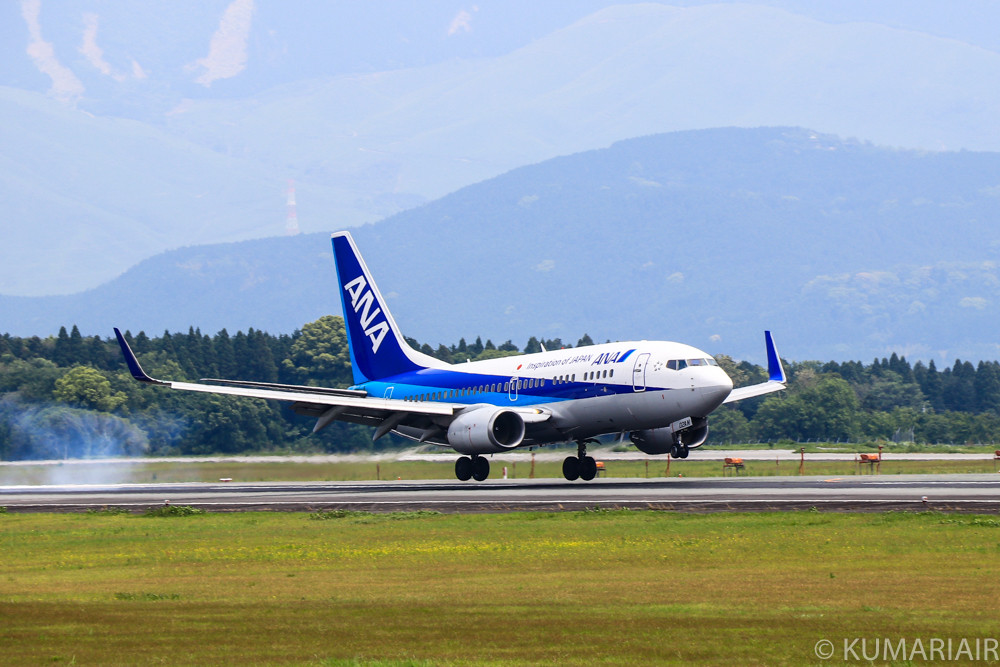 金色のANAカラー！元ゴールドジェットのB737-700 | シテイリョウコウ