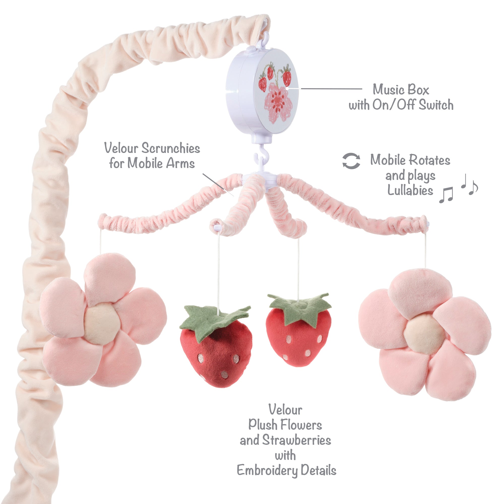 Flower Power Strawberry Musical Baby Crib Mobile Soother Toy