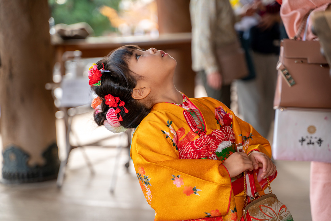 七五三7歳女の子写真・黄色着物～ロケ写真撮影 | 着物レンタルなら尼崎