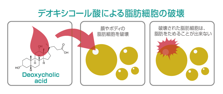 脂肪溶解注射 カベリン（kabelline) | 診療科目 | レティシア