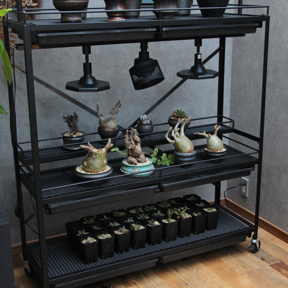可動式水受けトレー付き植物棚