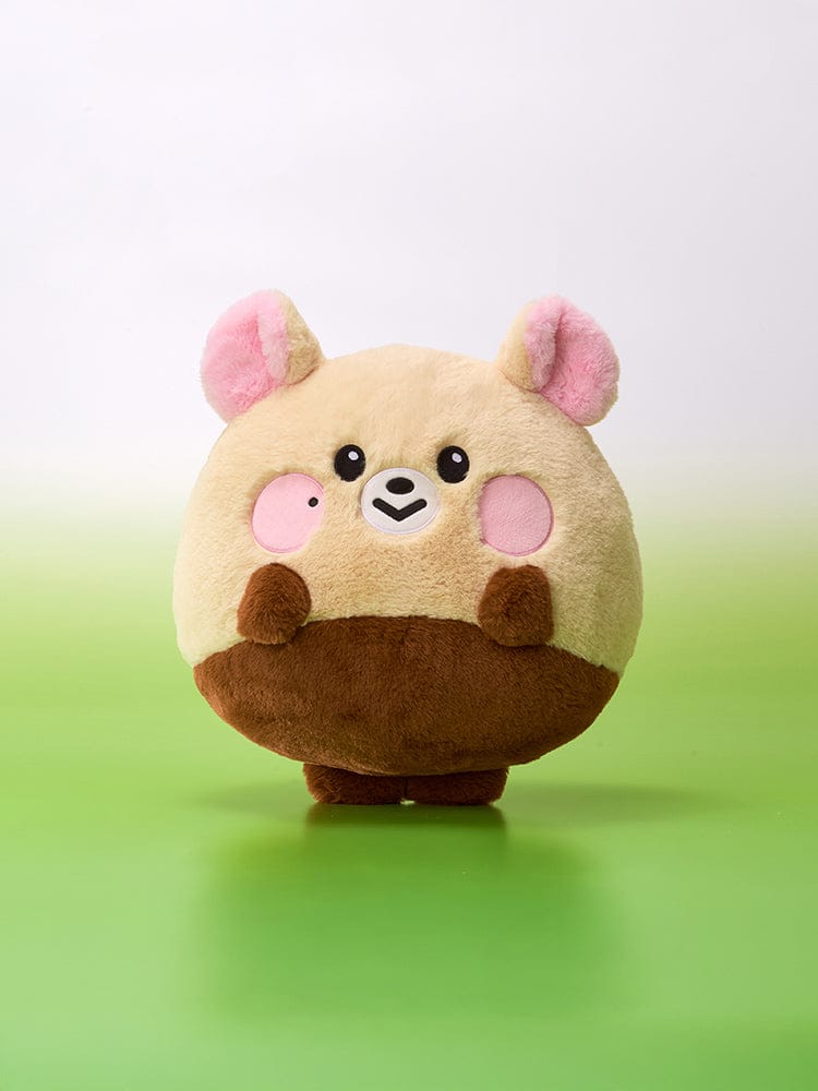 NCT DREAM Dreamiez BIG FLAT CUSHION – LINE FRIENDS SQUARE