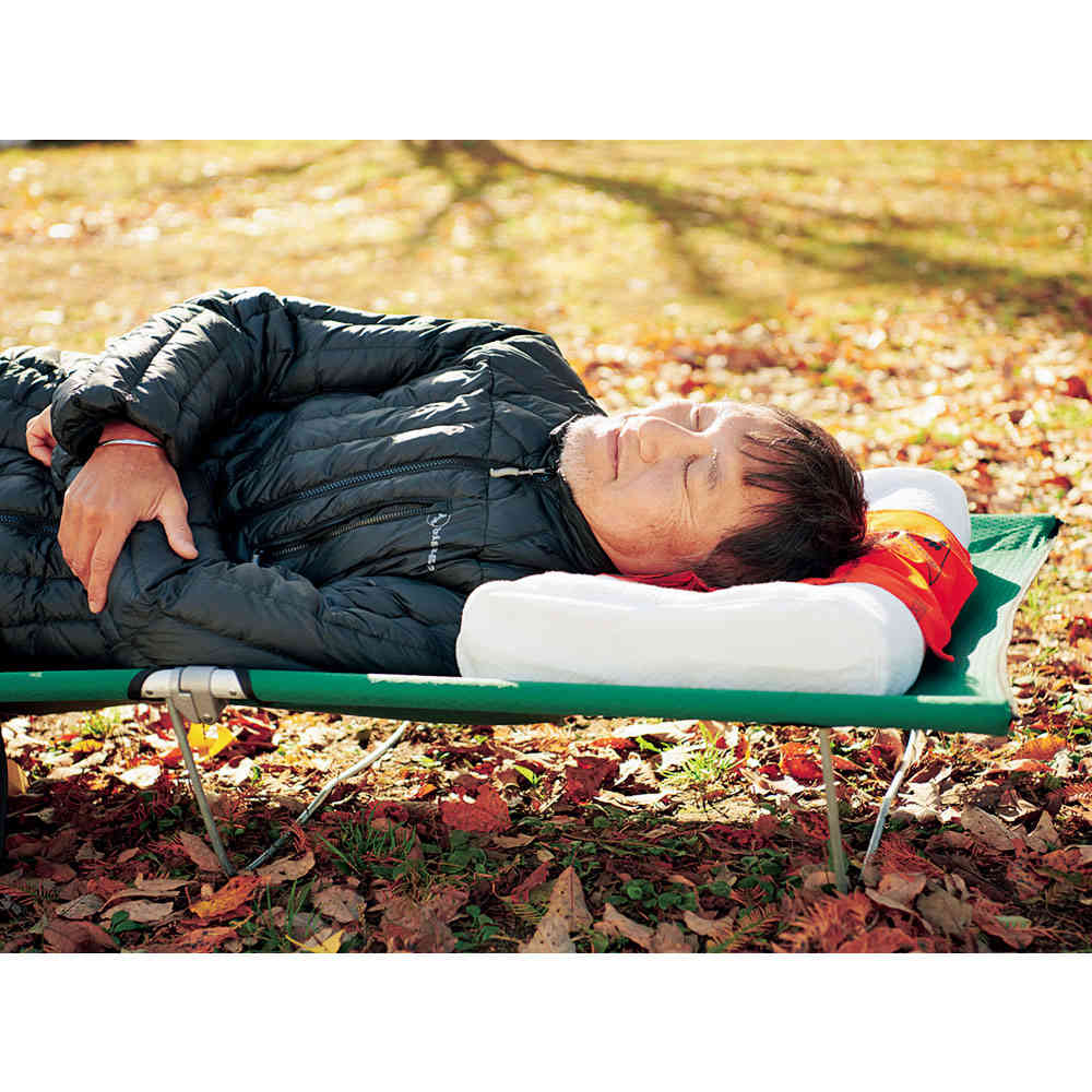 ヒツジのいらない枕 至極専用カバー2枚セット : 小学館百貨店