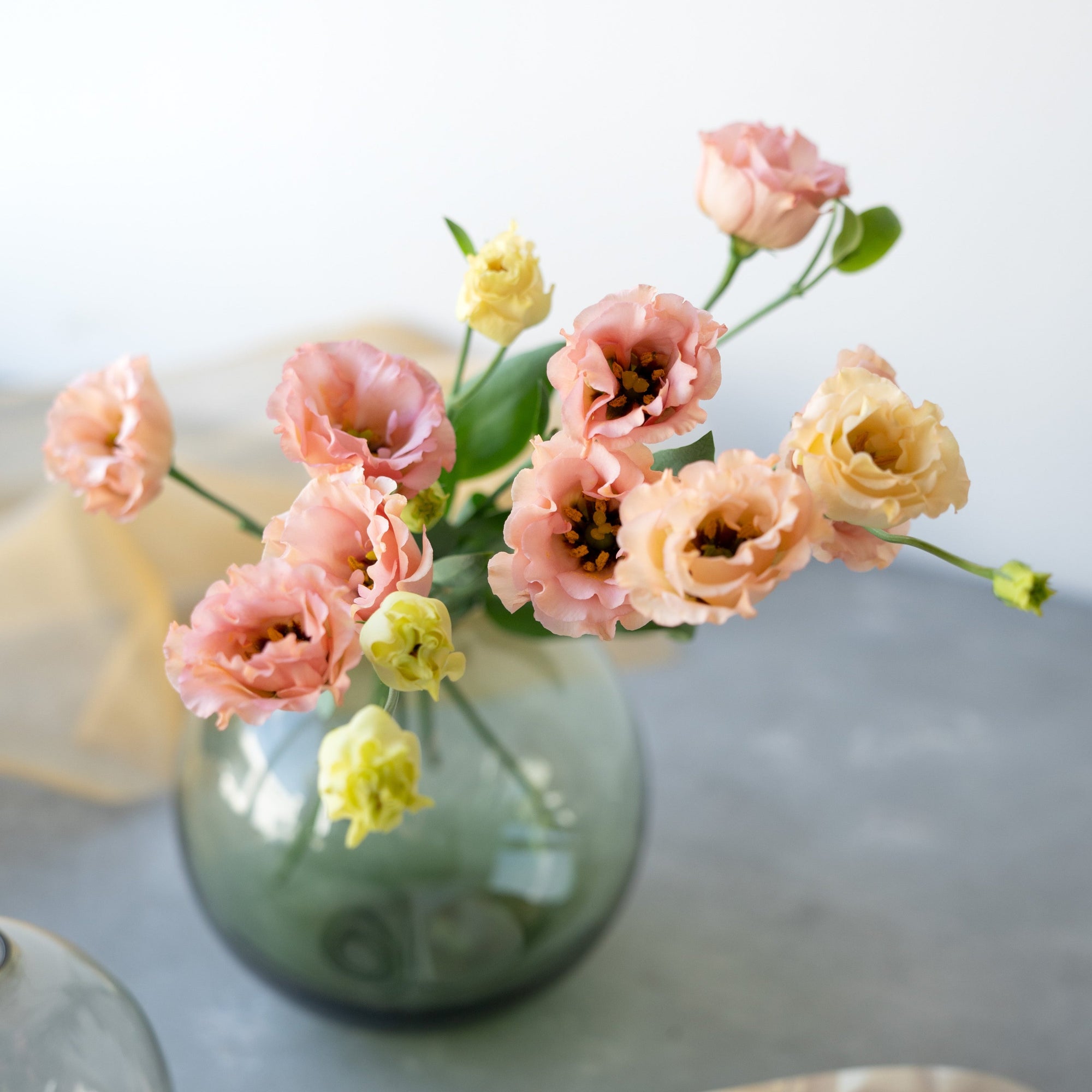 Sghr スガハラ】 フィオラ：フラワーベース (SS) – LIFFT