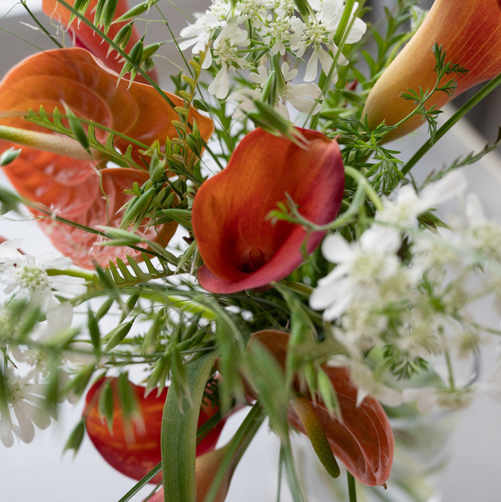 カラーの花束-M- – LIFFT