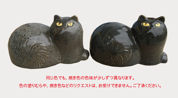 Maj じゃまをする猫「マイ」