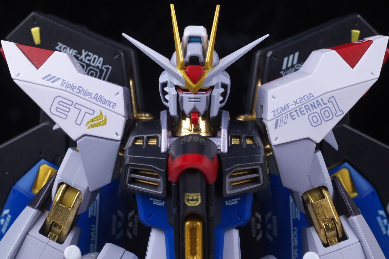 METAL ROBOT魂 ストライクフリーダムガンダム [Re:Coordinate