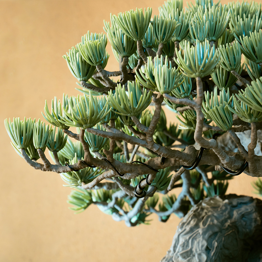 NEIGHBORHOOD SRL x BANDAI 盆栽プラモデルが爆誕 – 時代を超えて愛さ