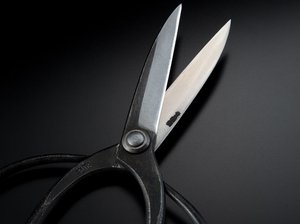 Amazon | 佐保 植木鋏【佐助型】青紙鋼 3寸5分刃 (はさみ ハサミ 園芸