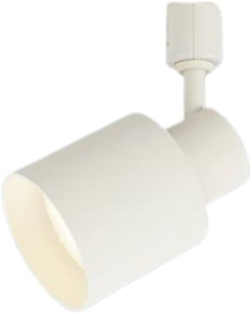 Amazon.co.jp: パナソニック(Panasonic) LEDスポットライト 配線ダクト