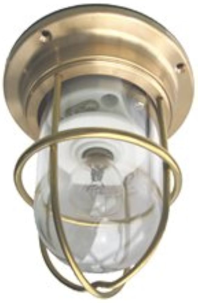 Amazon | ゼロデッキライトゴールド(ZR-DK-G) | シーリングライト