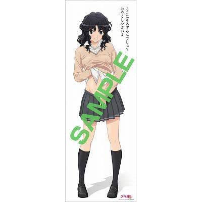 Amazon.co.jp: アマガミ SS 棚町薫 特典 布ポスター : おもちゃ