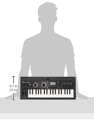 Amazon.co.jp: KORG(コルグ) アナログ モデリング シンセサイザー