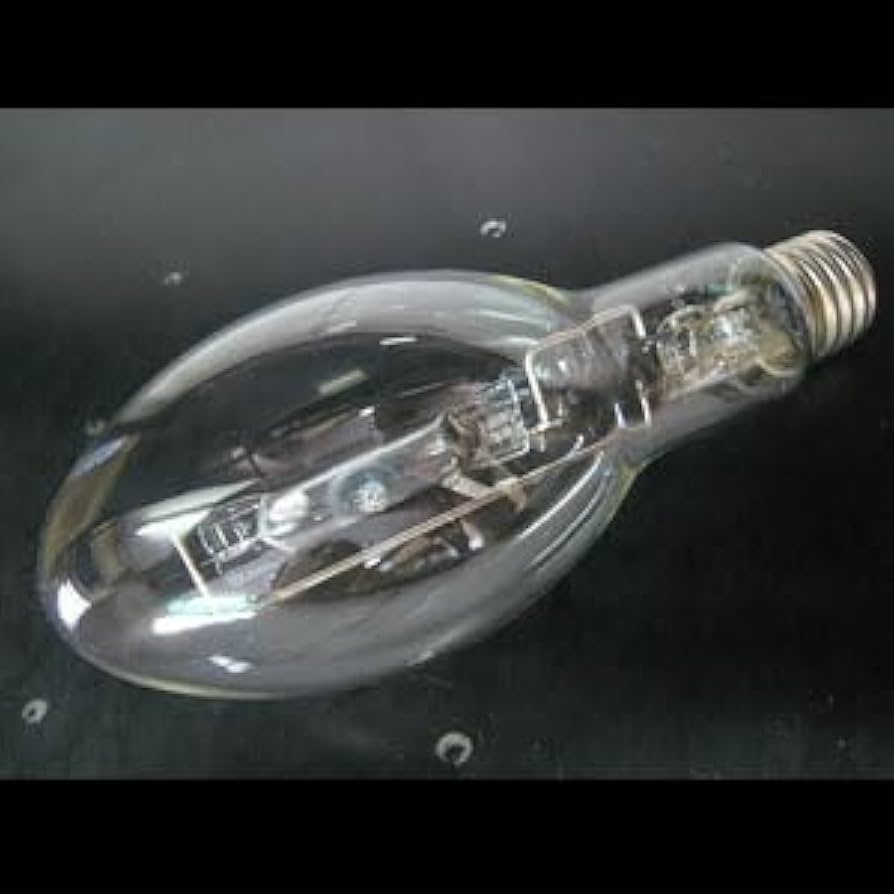 Amazon | パナソニック 透明水銀灯 一般形 100形 H100 | パナソニック