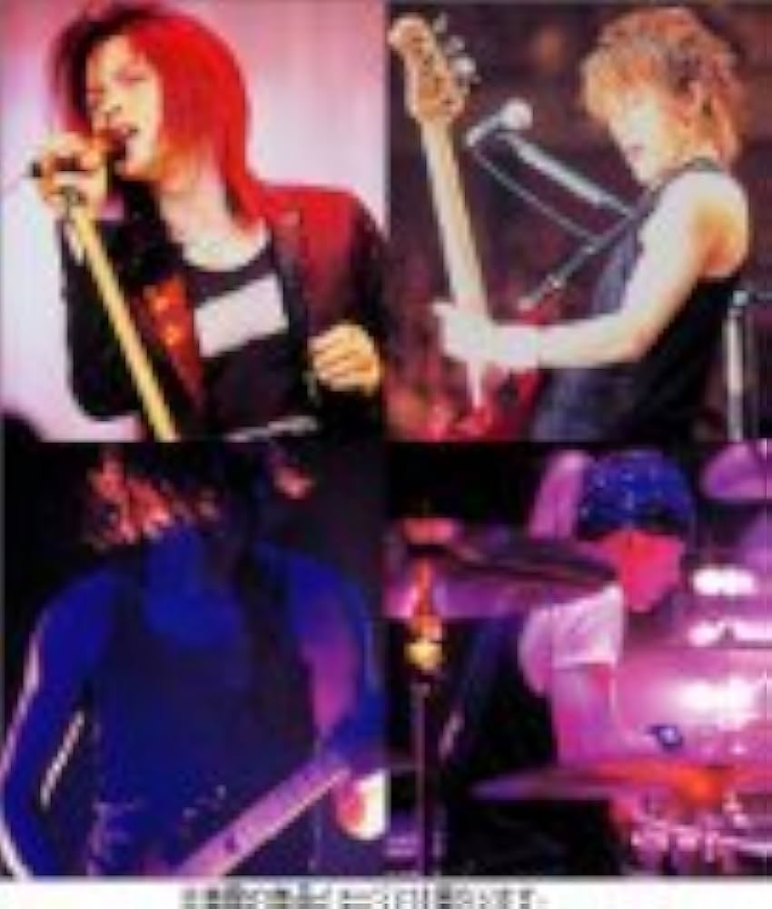 Amazon.co.jp: L'Arc-en-Ciel LIVE DOCUMENT PHOTOGRAPHS [SMILE TOUR