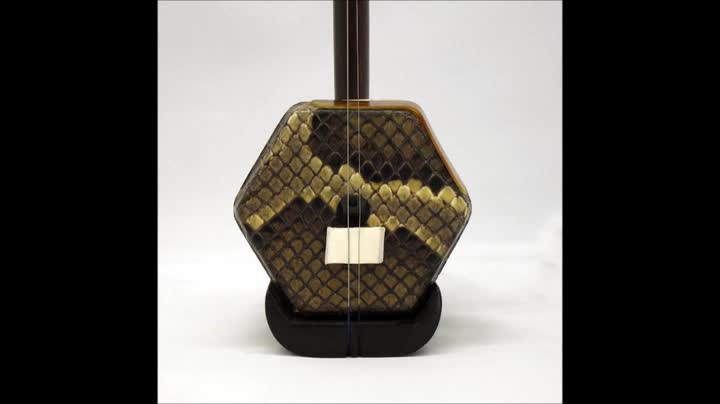 Amazon.co.jp: 古月琴坊 入門用紅木二胡 ER-400 : 楽器・音響機器