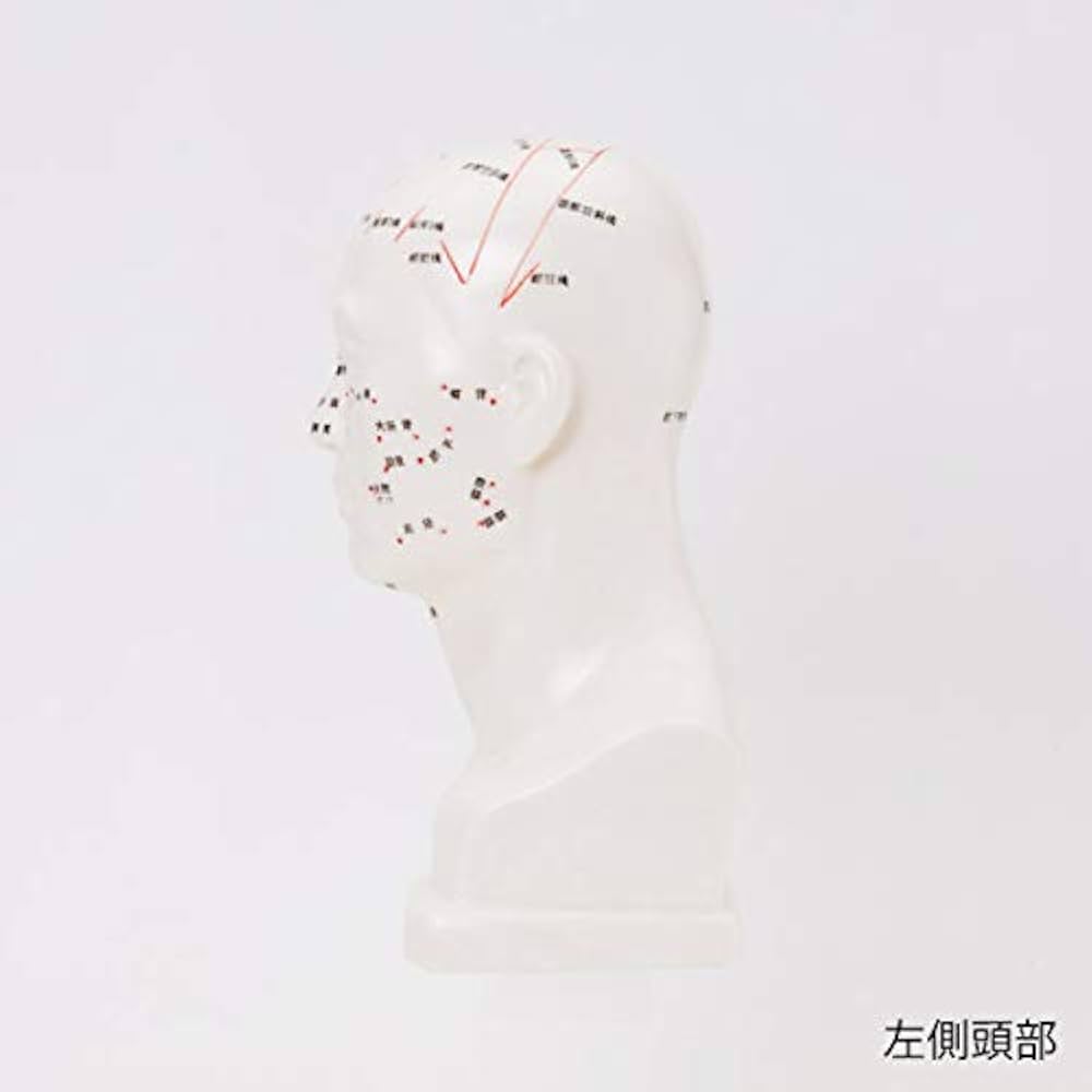 31nE2knRaZL._AC_UF1000,