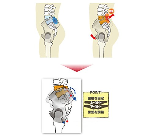 Amazon.co.jp: SKP整体が作った奇跡の骨盤ベルト 骨盤先生 上下セット