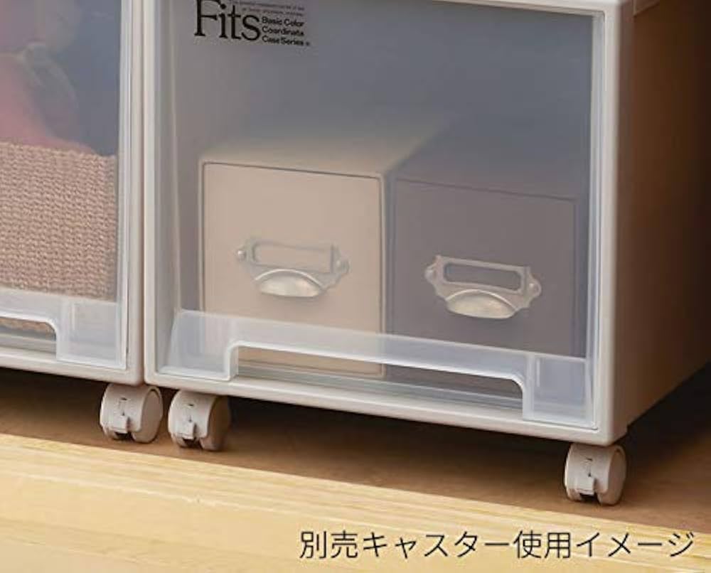 Amazon｜【まとめ買い4個セット】天馬 収納ケース Fits フィッツケース