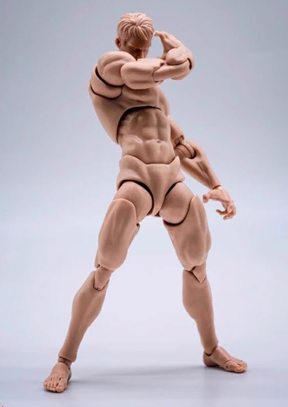 Amazon.co.jp: [AC]Wind toys 1/12 男性 可動 アクション フィギュア