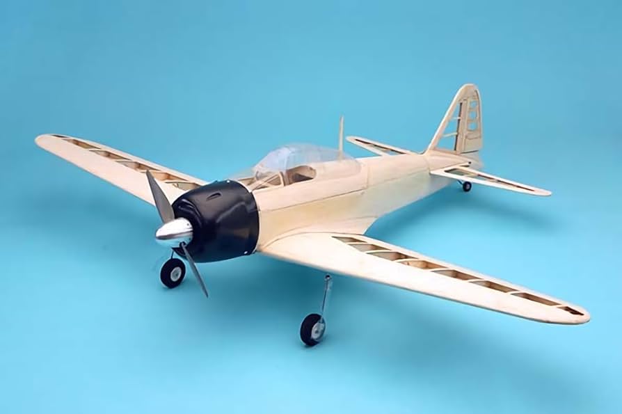 Amazon | OK模型 (OK Mokei) PILOT 1/9.1 ゼロ戦22型 バルサキット