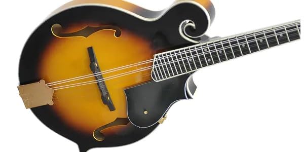 Amazon | PLAYTECH (プレイテック) Fスタイルフラットマンドリン