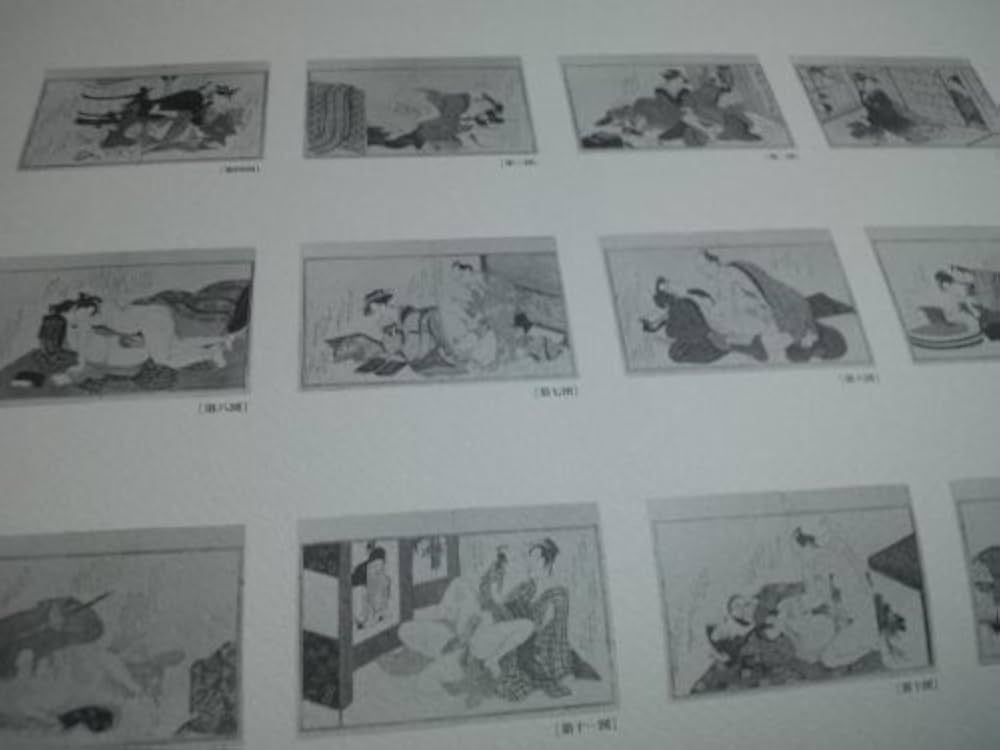 Amazon.co.jp: 浪ちどり (2期) (浮世絵秘蔵名品集) : 葛飾北斎: 本