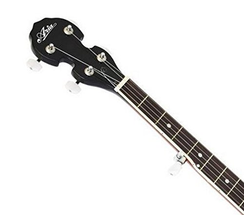 Amazon.co.jp: ARIA アリア 5弦バンジョー REMO Banjo Head SB-10