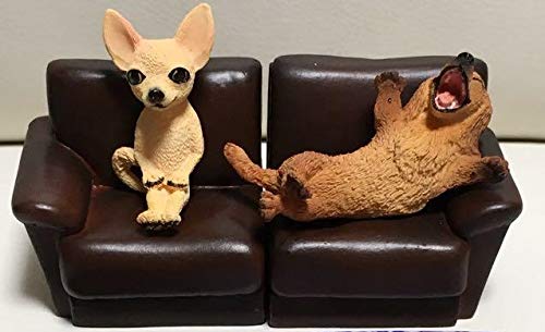 Amazon.co.jp: 朝隈俊男 犬のくらし 犬の生活 チワワ＆ミニチュア