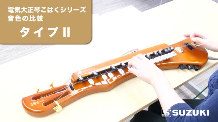 Amazon | SUZUKI スズキ 電気大正琴 こはくタイプⅡ | 大正琴 | 楽器