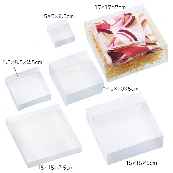 Amazon | 【10個】透明クリアボックス(かぶせ式) 10×10×5cm【 フタ