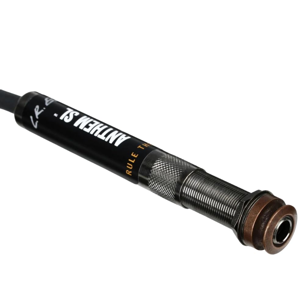 Amazon.com: LR Baggs Anthem SL-C Classical Guitar Pickup Battery