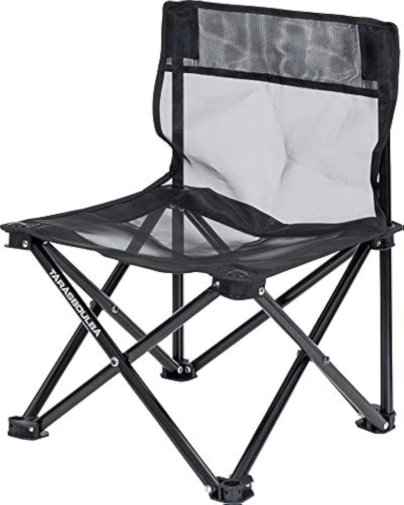 Amazon.co.jp: TARAS BOULBA(タラスブルバ) ライトメッシュチェアミニ