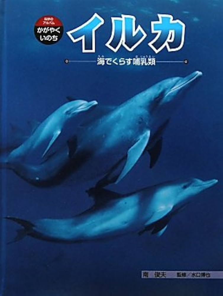 イルカ: 海でくらす哺乳類 (科学のアルバム・かがやくいのち 5) | 南