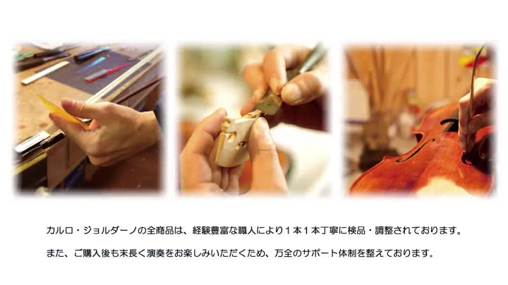 Amazon.co.jp: カルロジョルダーノ バイオリンセット VS-1 4/4 : 楽器