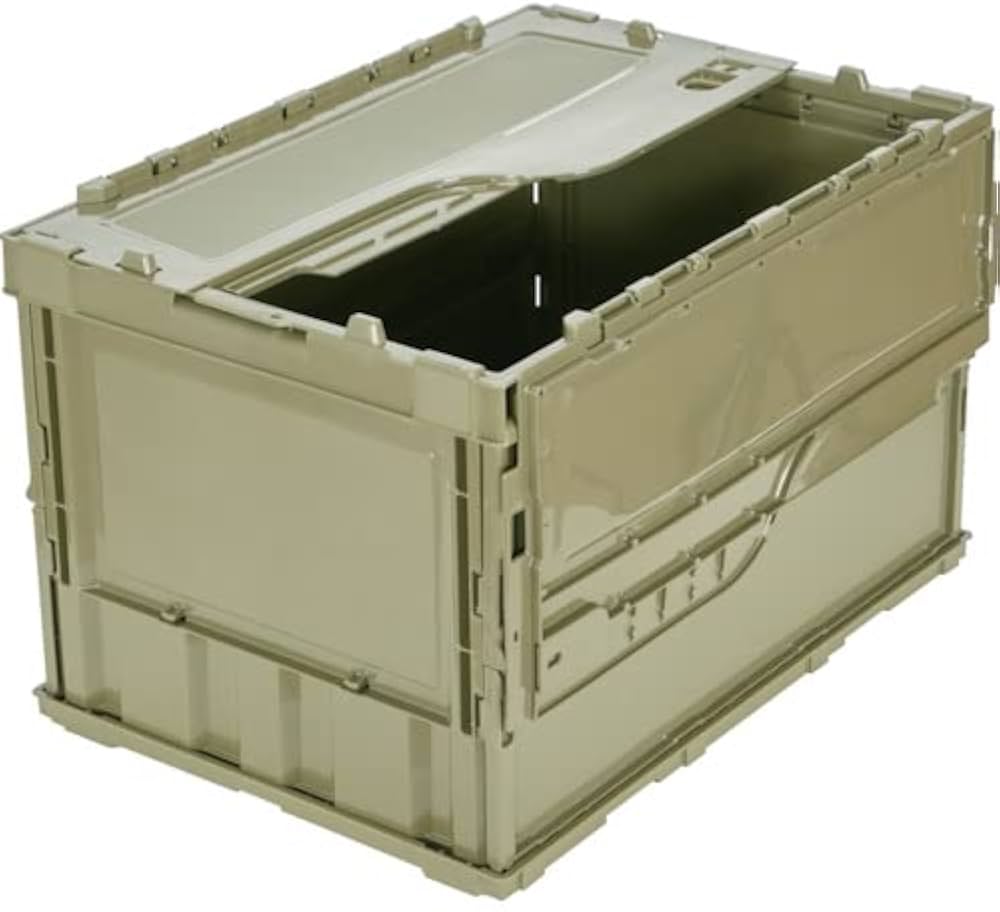 41lHOtF3e-L._AC_UF1000,