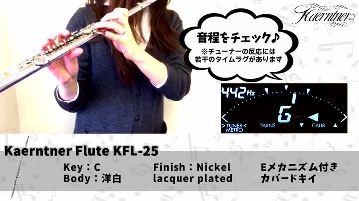 Amazon.co.jp: Kaerntner ケルントナー フルート KFL-25 : Musical