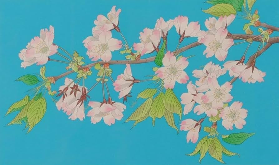 Amazon.co.jp: 中島千波 大島桜 桜 絵画 花 和風 木版画 インテリア