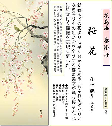 Amazon | 掛け軸 春 桜花・森山観月 尺三 掛軸 桜 床の間 | 絵画生活