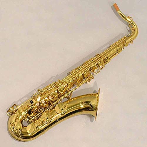 Amazon.co.jp: YANAGISAWA T-WO10 テナーサックス ブラス製 ヘヴィー