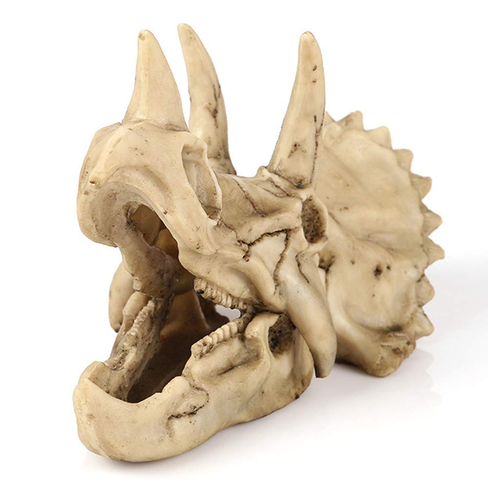 Amazon.co.jp: 恐竜トリケラトプスの頭蓋骨レプリカ樹脂工芸品恐竜の歯