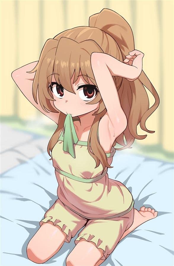 Amazon.co.jp: きしわがし とらドラ B2タペストリー 逢坂大河 : ホビー