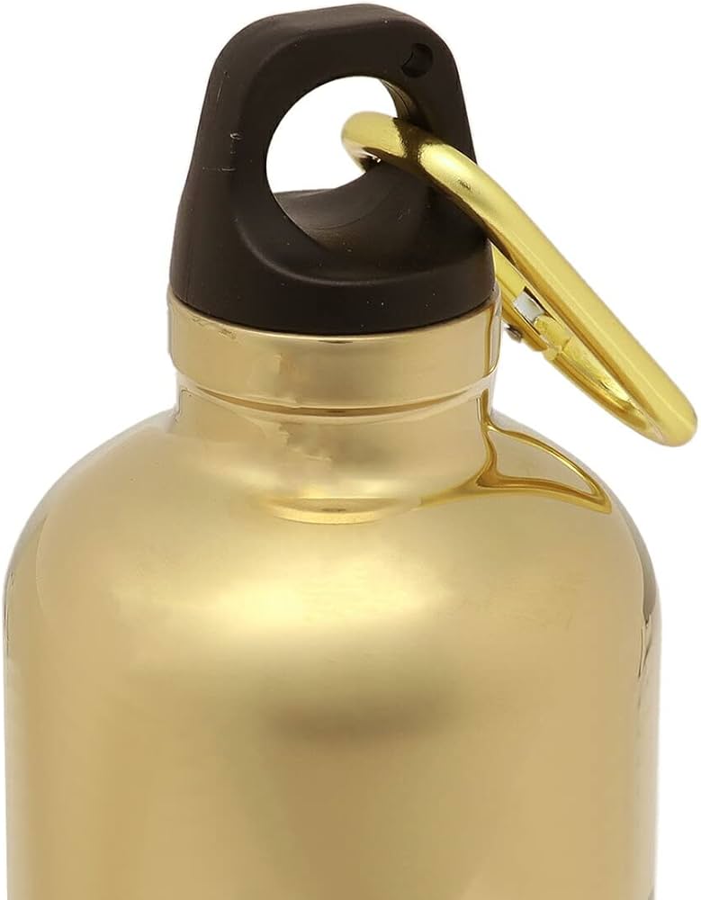 Amazon｜[プラダ]タンブラー 水筒 ボトル 500ml ゴールド メンズ